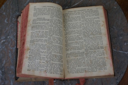 Библейские книги Ветхого Нового Завета о. Якоб Вуек Липск 1898 г.