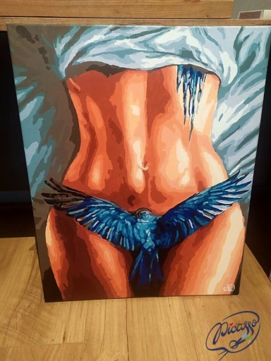 Malowanie po numerach iPicasso 40x50 cm na ramie