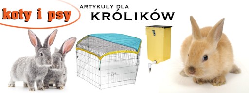 ДЕЗОСАН ВИРГОР ДЛЯ ДЕЗИНФЕКЦИИ 10 КГ