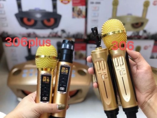 Караоке SD306 PLUS 30 Вт беспроводной ЧЕРНЫЙ