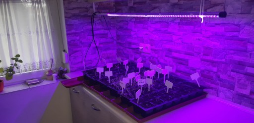 GROW LED лампа для выращивания растений 22Вт 120LED IP65 PL