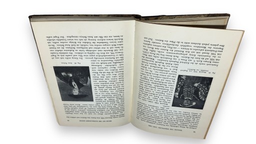 Старые немецкие книги
