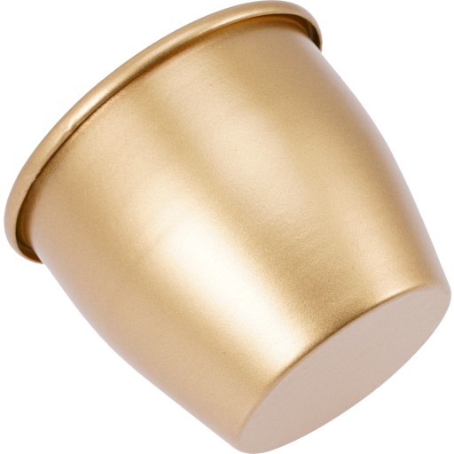 ДЕКОР ЦВЕТЫ БРЮКИ КОМНАТНЫЕ РАСТЕНИЯ GOLDEN HOUSE