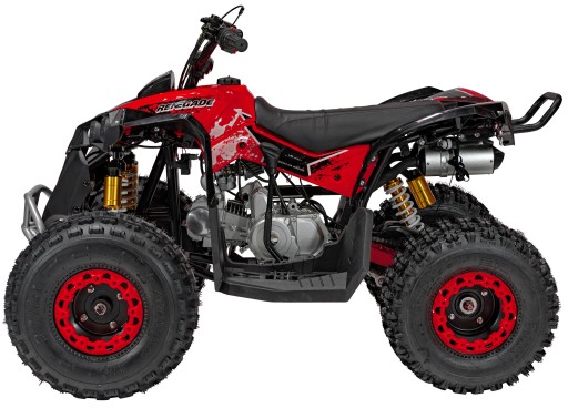 Детский БЕНЗИНОВЫЙ квадроцикл RENEGADE 125CC с сигналом БЫСТРО до 35 км/ч