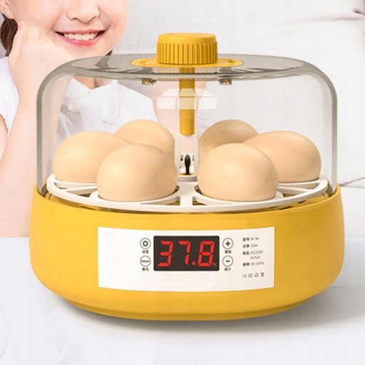 Инкубатор для яиц Инкубатор для яиц Инкубаторий