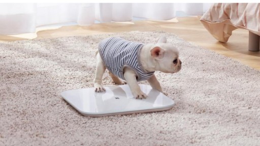 Xiaomi Mi Smart Scale 2 Белый | Умные весы для ванной | до 150 кг