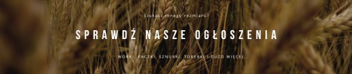 Диспенсер для пищевой фольги