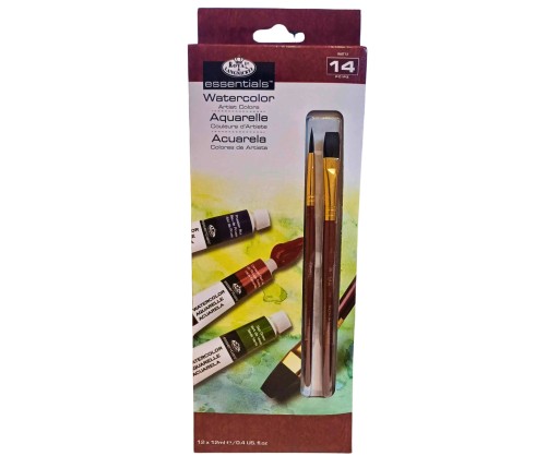 SPArt PRESENT PAINTING KIT 2xPLATINUM+Краска на ваш выбор+Набор кисточек для рисования