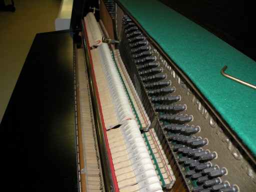 == Nordiska Piano, чёрный с RENNER