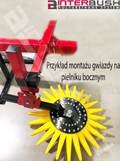 Gwiazda gwiazdy pielnik ekopielnik do ogrodu