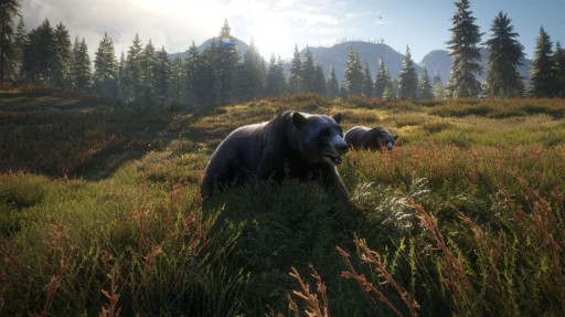 THEHUNTER CALL OF THE WILD RESERVE КЛЮЧ ДЛЯ XBOX PL