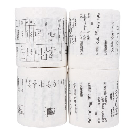 ZABAWNA FORMUŁA PAPIER TOALETOWY DOM