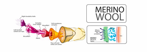 Funkcyjne termoaktywne skarpety górskie na lato Comodo TRE21 - 65% merino