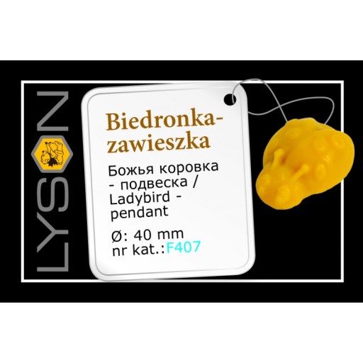 Forma silikonowa - Biedronka - zawieszka forma do odlewów
