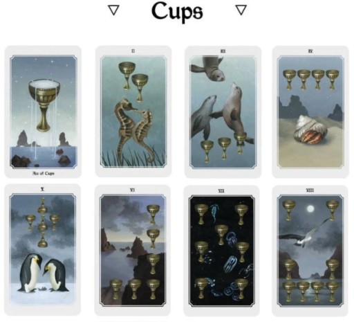 Anima Mundi Tarot 78 шт премиум + буклет в коробке