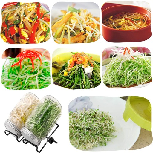 БАНКА ДЛЯ ПРОРАЩИВАНИЯ КУЛЬТОВ С ФИЛЬТРОВОЙ СЕТКОЙ И ПОДСТАВКОЙ