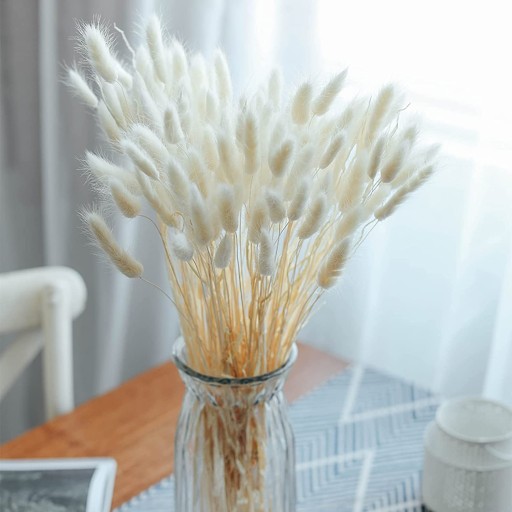 Одуванчик яйцевидный сушеный Lagurus Natural White