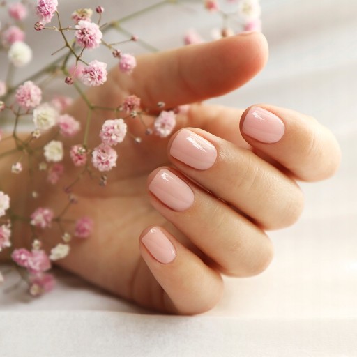 ACRYL GEL KIT щипцы для форм для акрилового геля
