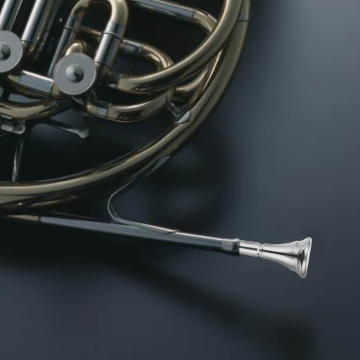 USTNIK DO WALTORNI INSTRUMENTY MUZYCZNE SREBRO