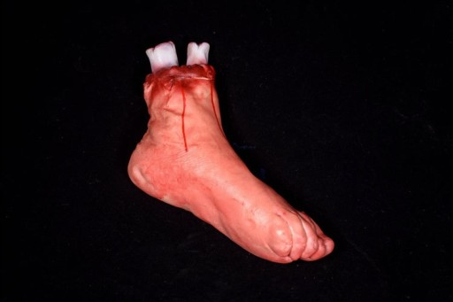 SZTUCZNA STOPA NOGA Z KOŚCIĄ HALLOWEEN UCIĘTA