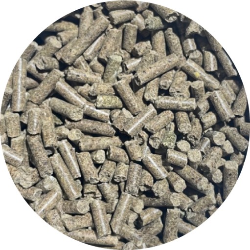 BIOFEED HORSE & PONY Добавка гранулированная для мышц, корм для лошадей 1кг