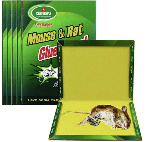 10x LEP MICE PAW RATS GРЫЗУНЫ + БЕСПЛАТНО