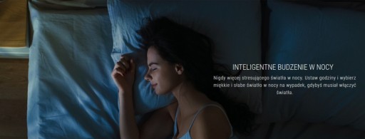 Shelly Vintage A60 7W WiFi стильная лампа E27