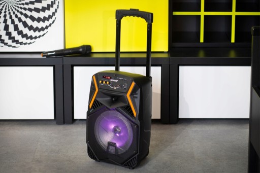 ПОРТАТИВНАЯ ДИНАМИКА BLUETOOTH PARTY BOX КАРАОКЕ PRIME3 APS22 ПУЛЬТ ДИСТАНЦИОННОГО УПРАВЛЕНИЯ + МИКРОФОН