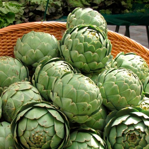 Артишок сушеный Cynara scolymus 500 г сертифицированный