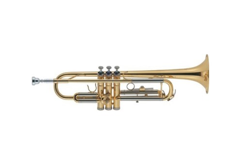 J. MICHAEL TR-200A Труба, футляр