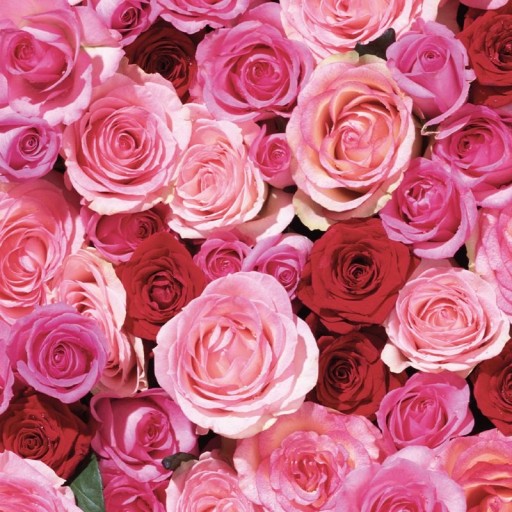 ROSE LOVE НАТУРАЛЬНОЕ ПИТАТЕЛЬНОЕ МАСЛО ДЛЯ ТЕЛА KHADI 100мл