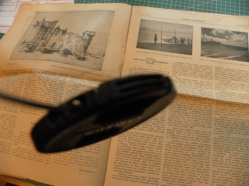 ЕЖЕНЕДЕЛЬНО ИЛЛЮСТРИРОВАННЫЕ ПОХОРОНЫ 1919 ГОДА ПОД ПОЛКОВНИКОМ. ЛЕОПОЛЬД ФОКС БАЛ