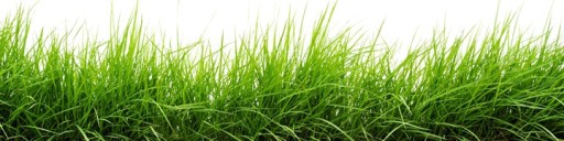 Удобрения Barenbrug Barfertile осень 5 кг