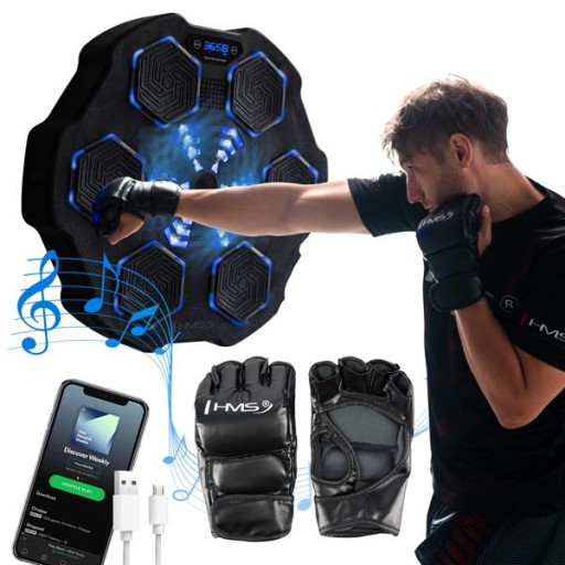 Электронная настенная боксерская мишень с Bluetooth Music Boxing Machine HMS