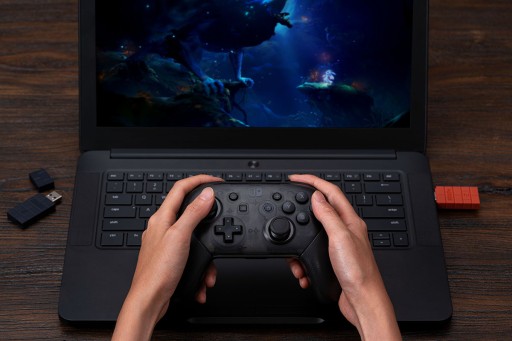 Адаптер 8BitDo 2, коричневая панель Xbox SONY для коммутатора, ПК