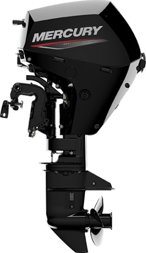 Подвесной мотор MERCURY F10 EL EFI 12L 10 л.с.