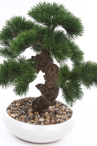 Искусственное деревце BONSAI PINUS 37 искусственное бонсай сосна пиния белая сосна горшок