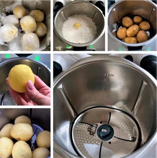 Stalowa osłonka do Thermomix TM5 i TM6 / obieraczka do Termomiks TM5 TM6