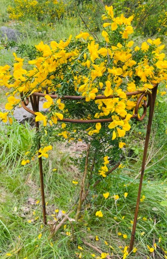 Stylowa Podpora do roślin krzewów roślin kwiat PERGOLA 40 80cm półokrągła