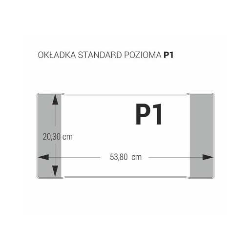 Крышка П1 Горизонтальная - 1 шт 203х539