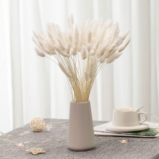 Одуванчик яйцевидный сушеный Lagurus Natural White