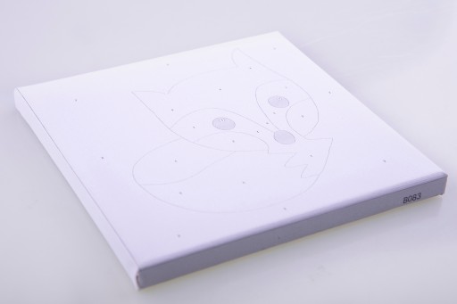 OBRAZ MALOWANIE PO NUMERACH Na Ramie 20x30 Frozen