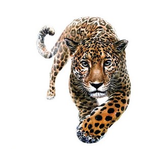 ТЕРМОНАКЛЕЙКА НАКЛЕЙКА PANTHER P64