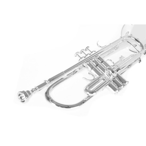 Посеребренная труба Roy Benson TR-202S RB701072