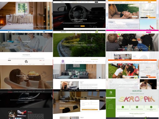 STRONA INTERNETOWA WWW ONEPAGE | RESPONSYWNA | DOMENA, HOSTING, SSL, CMS
