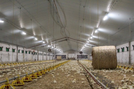 Синие изоляционные панели STYRODUR XPS AGRO 120 мм