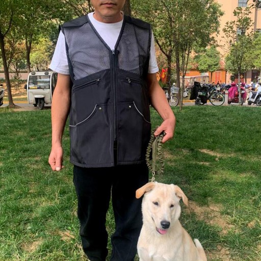 Жилет для тренировок Handler Training Dog Handler L, черный