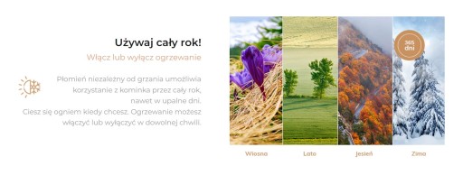 AFLAMO ROYAL 60 НАСТЕННЫЙ ЭЛЕКТРИЧЕСКИЙ КАМИН
