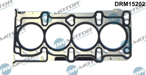 ПРОКЛАДКА ГОЛОВКИ DR.MOTOR DRM15202 55187899ME
