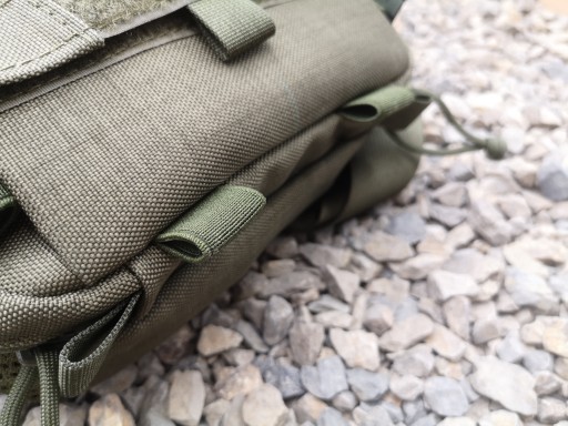 Двухкамерная поясная сумка Twiner EDC Baribal RG
